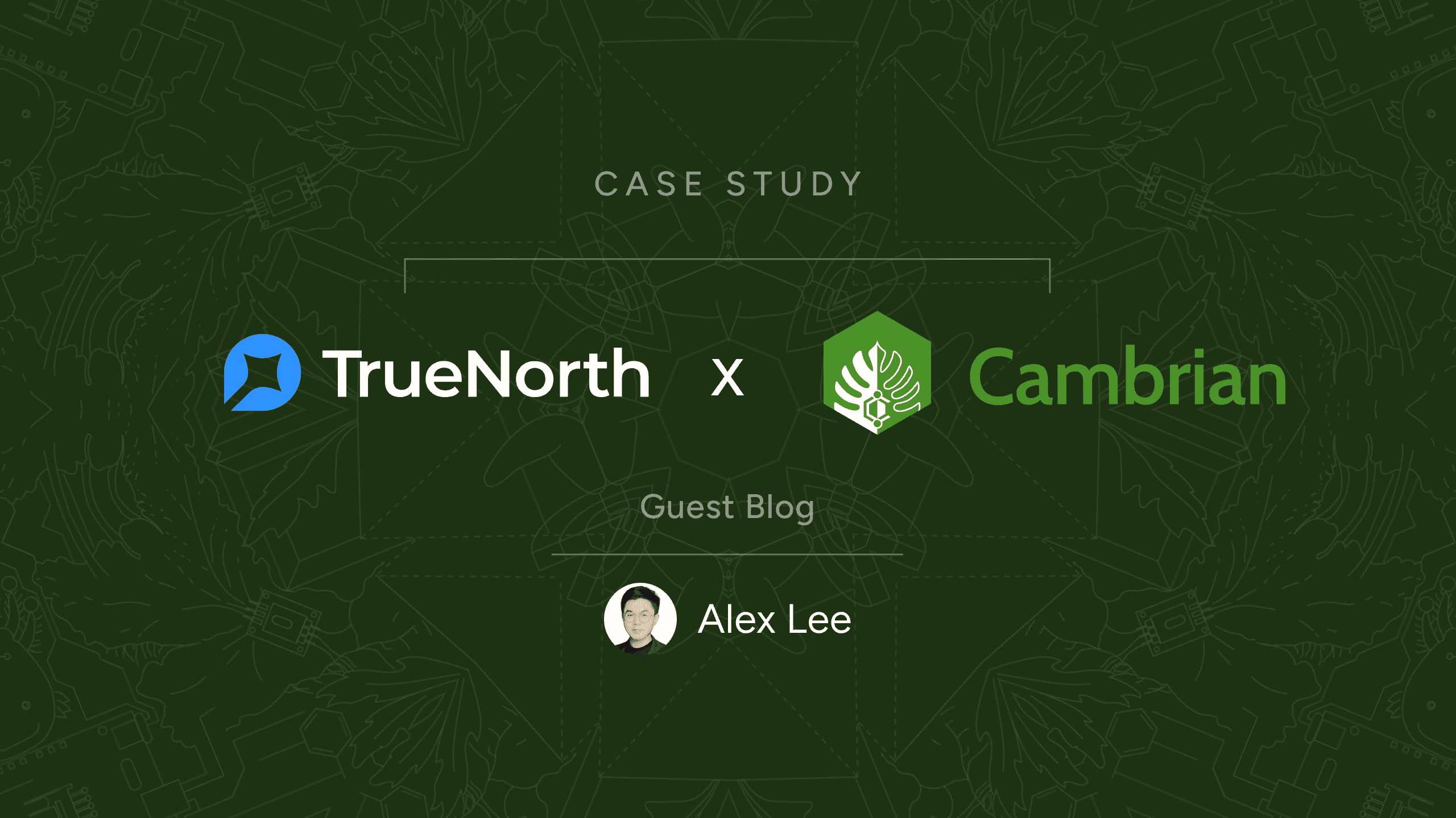 Featured image for Case Study: TrueNorth Trusts Cambrian Data for the World’s First Agentic Brokerage